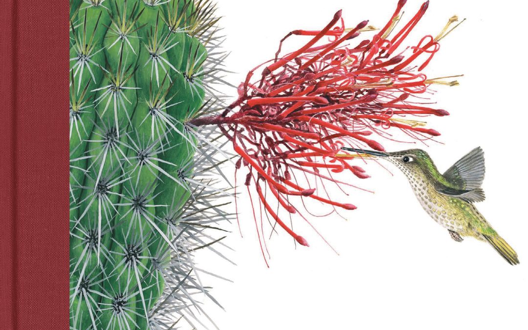 Libro «Plantas endémicas de Chile mediterráneo»